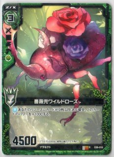 Tg Pr003 日常への喜び 島津 秋 Tcgショップ Noah